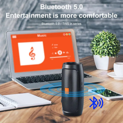 Bluetooth Dual Wireless Speaker