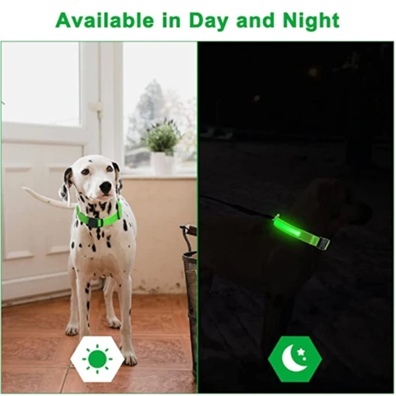 LED Glowing Dog Collar Night Anti-Lost Dog Light Harness